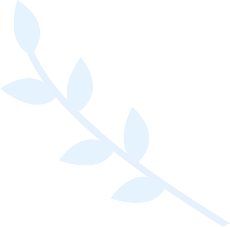 智能流量控制的网络手机号免费版